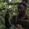 snakewhisperertt