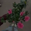 klarinka__co