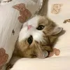 meoiuuuj