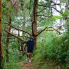 litratistangadventurista