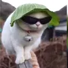 sagez20