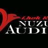 nuzulaudio