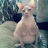 mickc