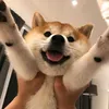 bro_ddiiee