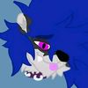 soupraccoonartz