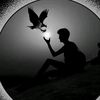 34_6.ahmadali