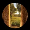 boushramohammed0