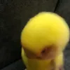 mm5nq6