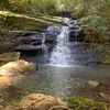 animais_natureza7