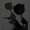 toria_zaa