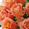 odessa_love2