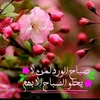 user7667189123273