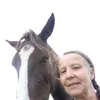 toggleit