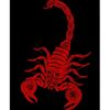scorpio.erica74