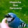 tu_.pana_.nowwill