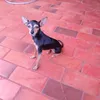 evanibarbosa23