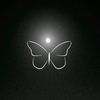 maryammohammed269
