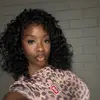 _brandijaz