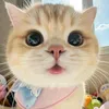 minhtam27_97vn