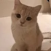 ammmmih