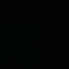 truong29032001