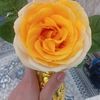 ceyhunrzayev2