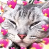duckycattt_