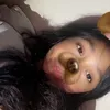llvjb_bj