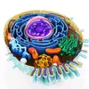 cell_1005