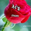 adies.alem