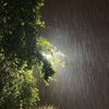 sarona_165
