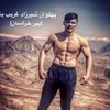 shirzad_gharibyar