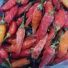 miebakar2201