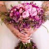 alnoor.jg