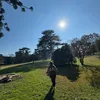 cielodorado16