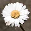 jasmin.no