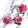 albina_04083