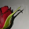 5h1_i