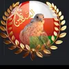 alshaheen2424