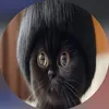 sour_lettuce69