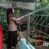 ambar_2391
