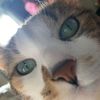 mariahandlily