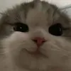 thuyhanhh97
