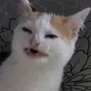 snw.mp4