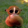 nour_jss