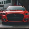 mustangwaw