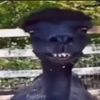 hennygod707