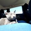 mimigirl57