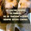 patito.1368