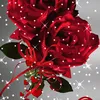 rwanrazan